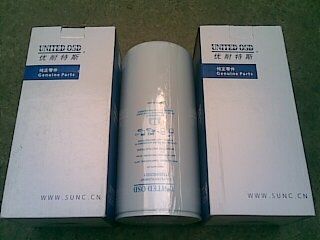 ������˹�Չ��C���^�V��1100602001